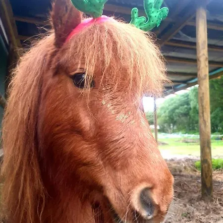 Sondela Self Catering *