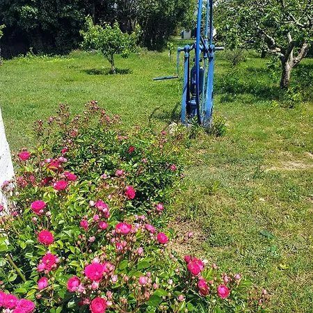 Sondela Self Catering Appartement