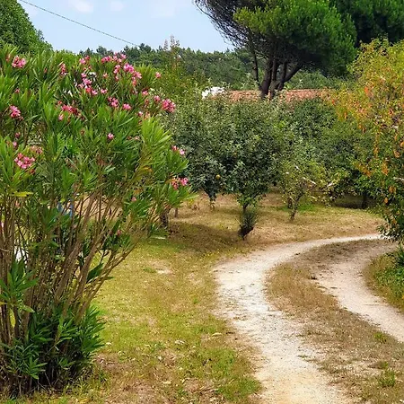 Apartamento Sondela Self Catering São Martinho do Porto