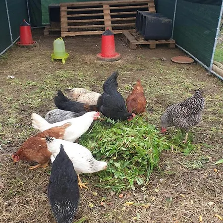 Sondela Self Catering * サン・マルティーニョ・ド・ポルト