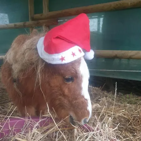 Sondela Self Catering Apartamento