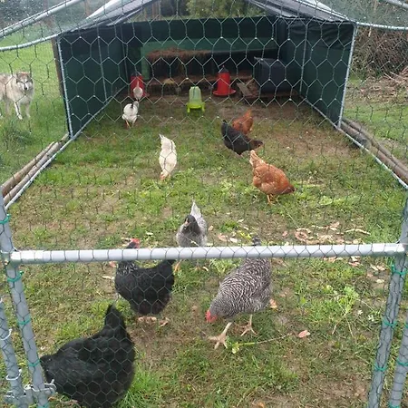 Sondela Self Catering * サン・マルティーニョ・ド・ポルト