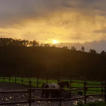 アパート Sondela Self Catering *