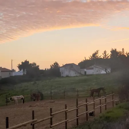 Sondela Self Catering *