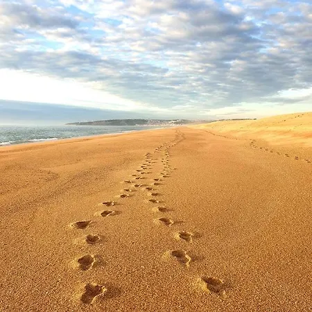 Sondela Self Catering * サン・マルティーニョ・ド・ポルト