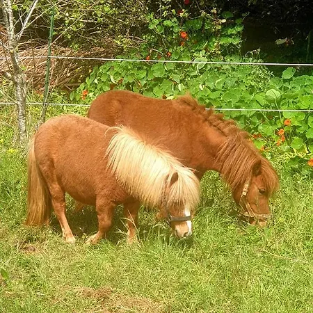 Sondela Self Catering