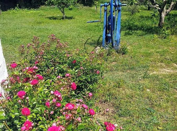 Sondela Self Catering Appartamento