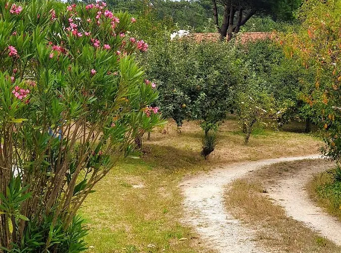 Apartman Sondela Self Catering São Martinho do Porto