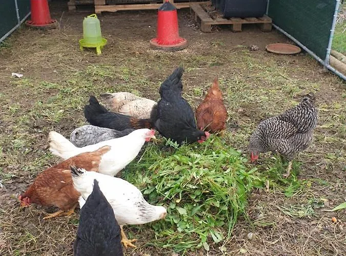 Sondela Self Catering * São Martinho do Porto