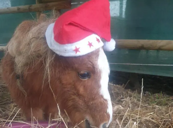 Sondela Self Catering Apartman