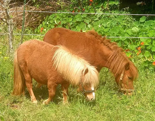 Sondela Self Catering