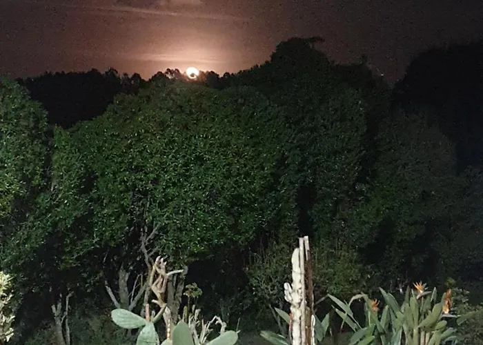 Apartman Sondela Self Catering São Martinho do Porto